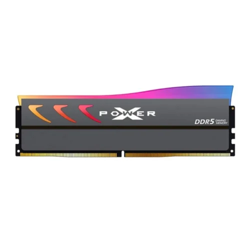 Mémoire RAM DDR5 32 Go (2 x 16 Go) en silicone