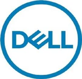 Disque dur interne SSD pour serveur Dell