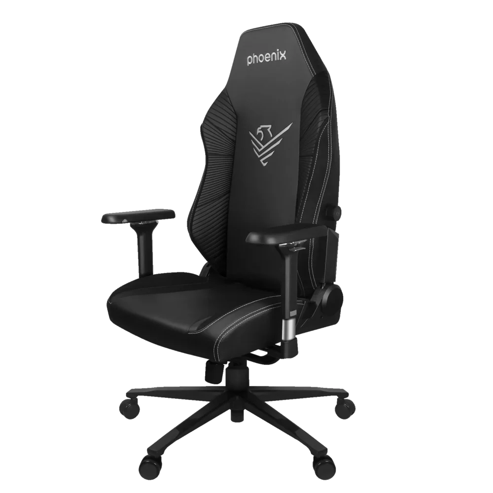 fauteuil de jeu en cuir phoenix monarch, taille Phoenix Monarch leather play chair, size