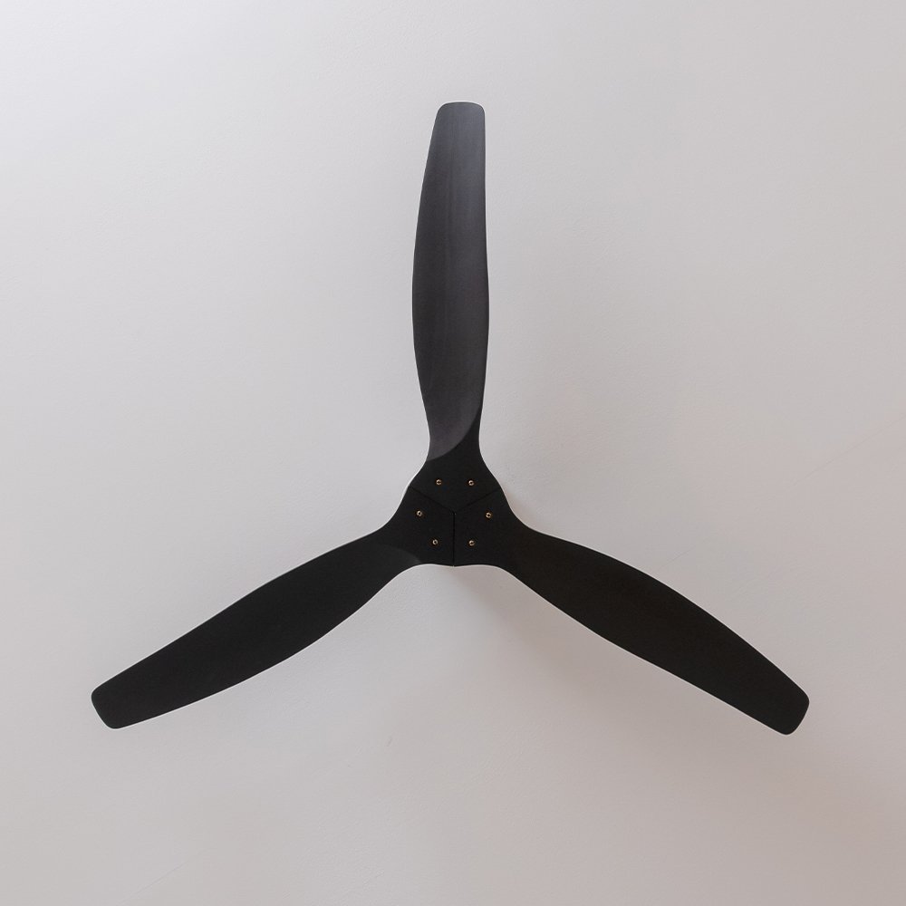 Ventilateur