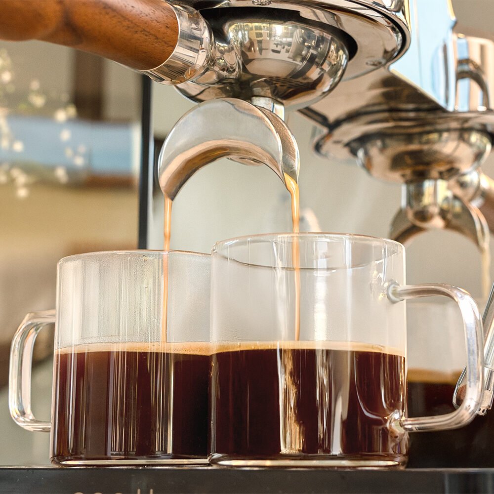 machine à café expresso professionnelle cecotec baristeo intima Machine à café expresso professionnelle