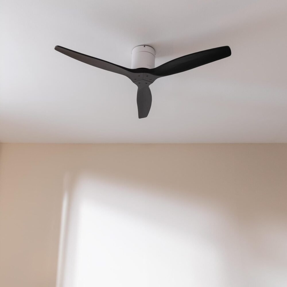 Ventilateur