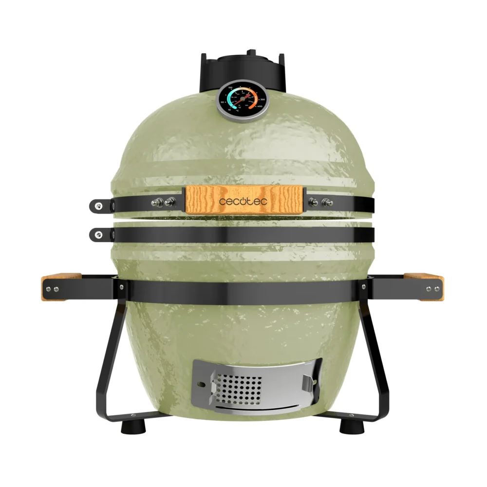 Barbecue Cecotec Dragonfire 3200