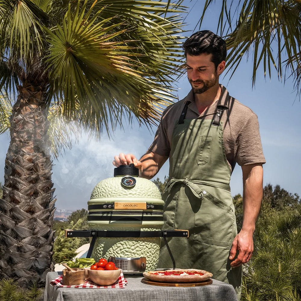 Barbecue Cecotec Dragonfire 3200