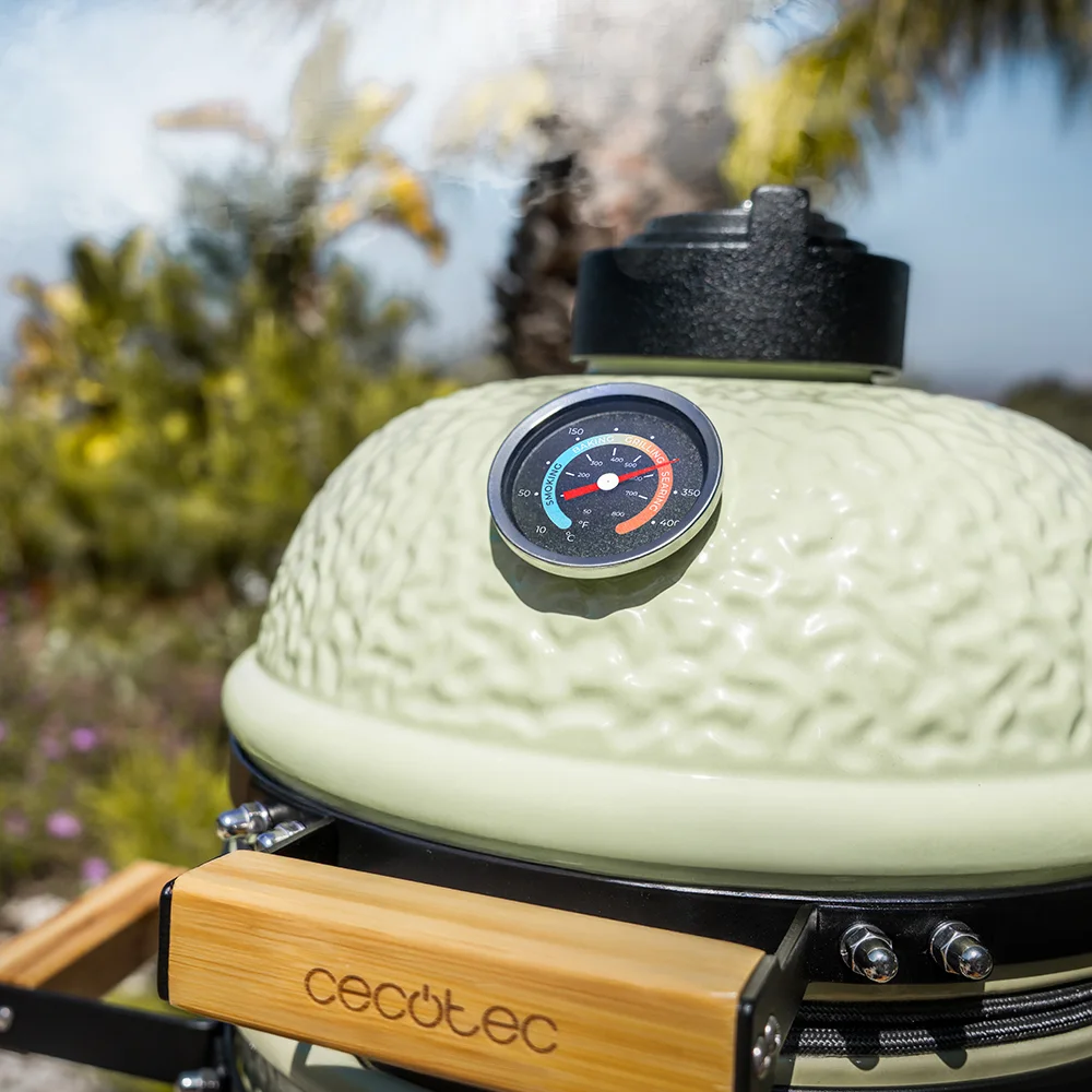Barbecue Cecotec Dragonfire 3200